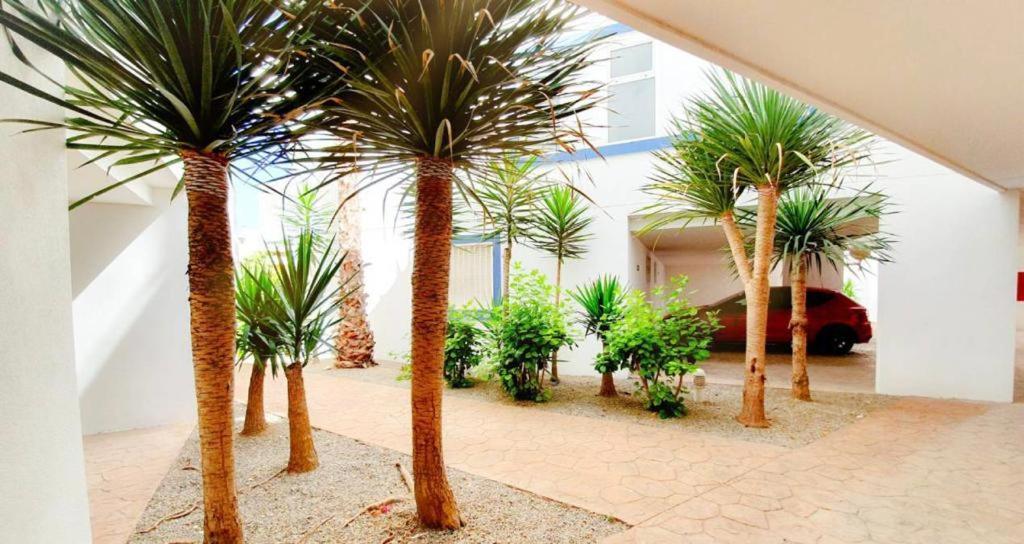 Apartment With Sea Views In Las Terrazas/Playa Flamenca Dehesa de Campoamor (Orihuela Costa) Exterior foto