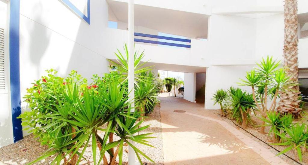 Apartment With Sea Views In Las Terrazas/Playa Flamenca Dehesa de Campoamor (Orihuela Costa) Exterior foto